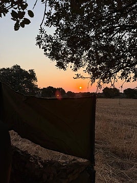 La media veda: el cálido deseo del monte