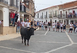 Herido grave tras ser corneado por un toro en las fiestas de Calzadilla