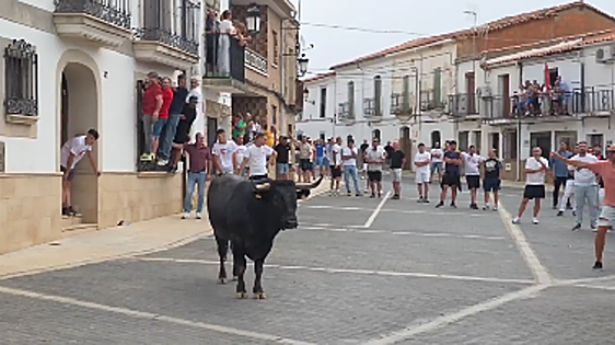 Herido grave tras ser corneado por un toro en las fiestas de Calzadilla