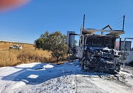 Fotos | Así ha quedado el camión portavehículos tras arder en la A-5 en Badajoz