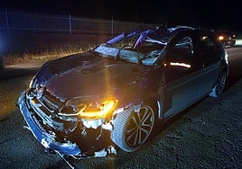 Estado en el que ha quedado el vehículo tras chocar contra el caballo.