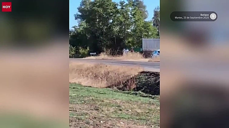 Muere un hombre de 35 años tras chocar su coche con un caballo en la carretera de Olivenza
