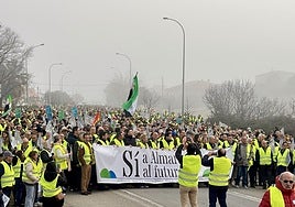 Imagen de archivo de la manifestación en defensa de Almaraz celebrada el pasado mes de enero.