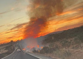 Medios del Infoex y del Sepei de Cáceres sofocan un incendio en Malpartida de Plasencia