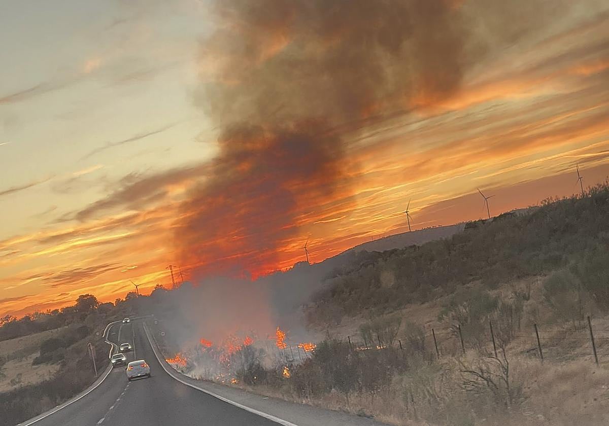 Medios del Infoex y del Sepei de Cáceres sofocan un incendio en Malpartida de Plasencia