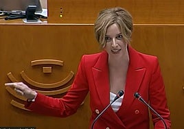 La Asamblea debate sobre gestión forestal, transporte escolar y jefaturas de servicio del SES