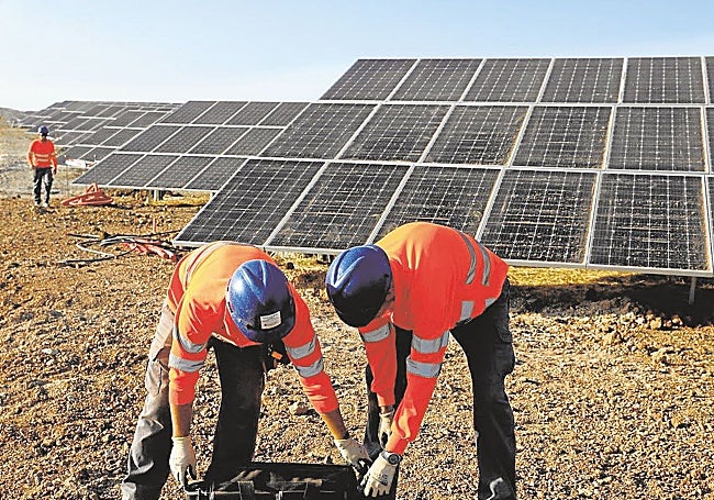 Trabajos de construcción de una fotovoltaica en la provincia de Cáceres.
