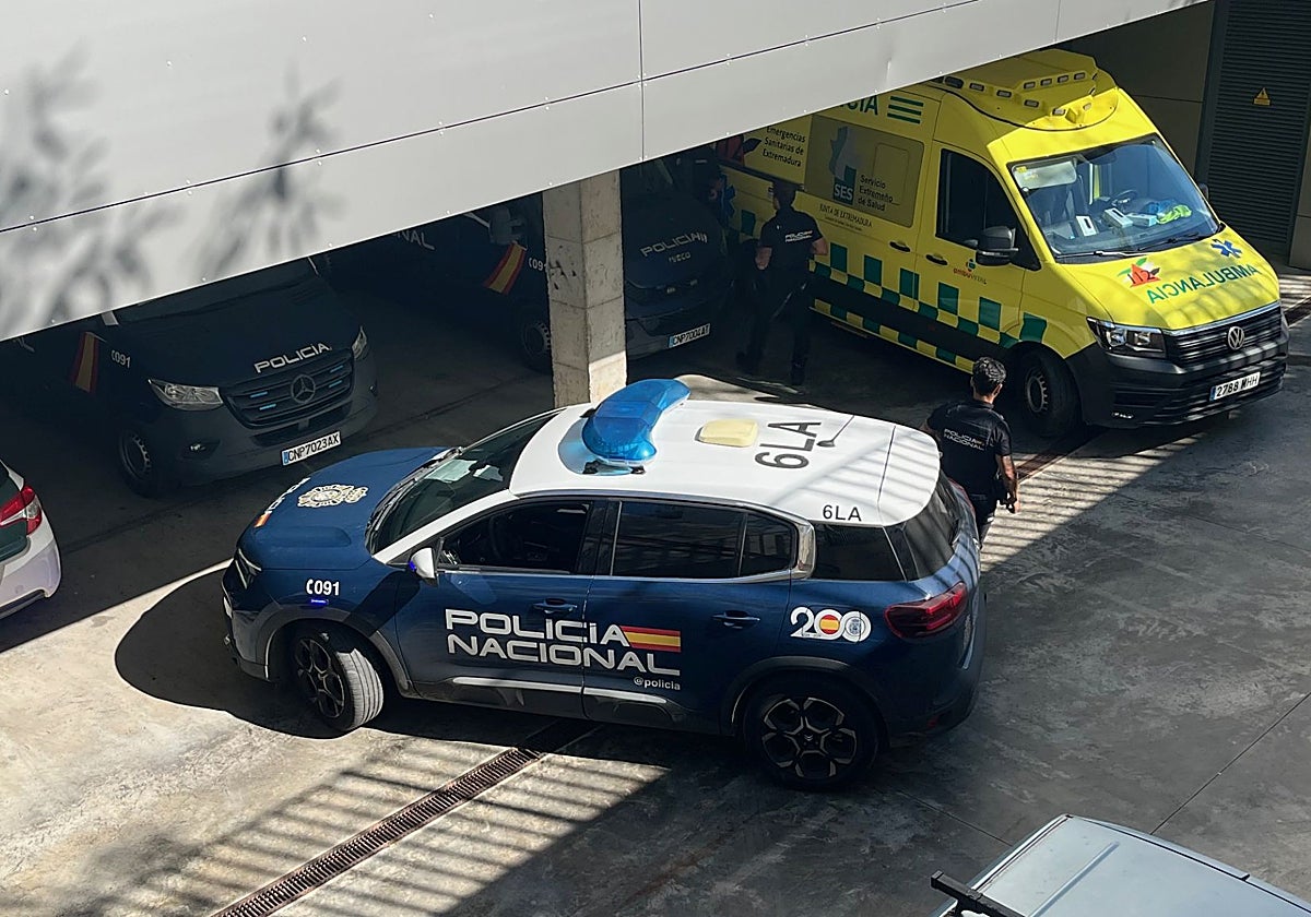 La ambulancia que trasladó al padre al hospital.