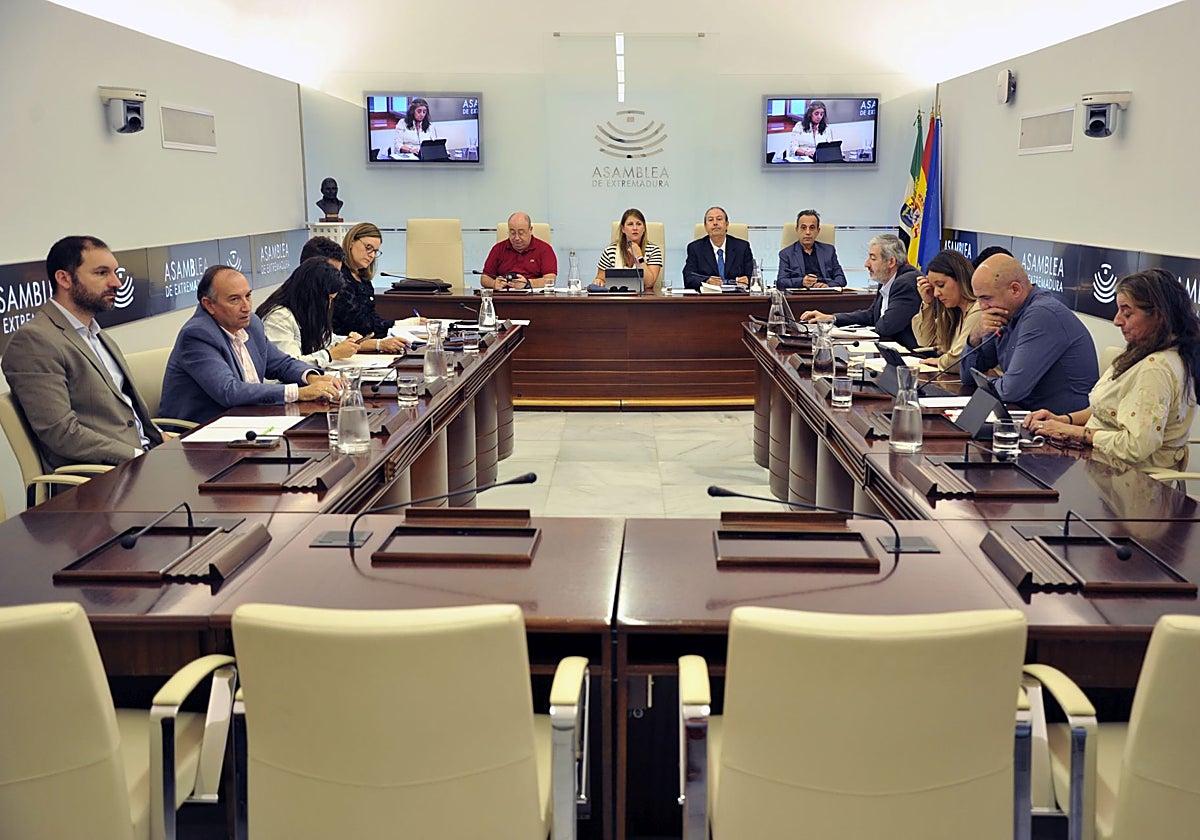 Reunión de la Comisión de Cultura en la que se han votado las enmiendas a la propuesta de ley.