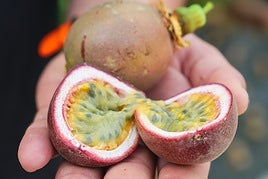 La pulpa del maracuyá se puede comer tras partir en dos la pieza.