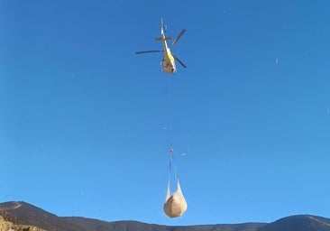La Junta acabará antes de fin de año las tareas más urgentes de recuperación tras los incendios forestales