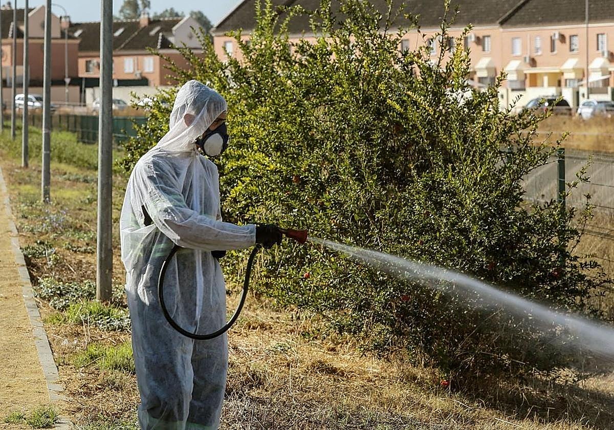 Imagen de archivo de labores de fumigación en zonas verdes.