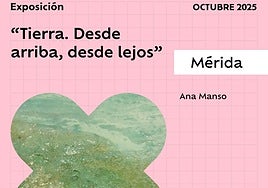 Cartel anunciador de la exposición de Ana Manso.