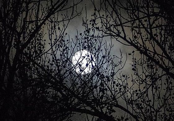 Luna llena del Cazador 2025: cuándo y cómo ver esta superluna de octubre