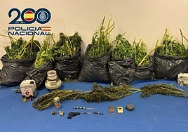 Material intervenido por la Policía en San Andrés.