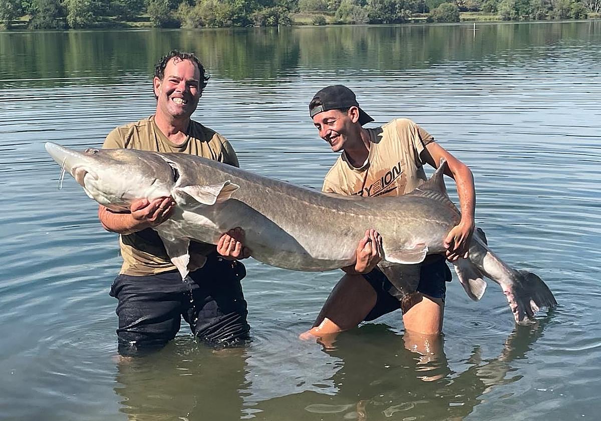 Imagen principal - Imágenes de la captura