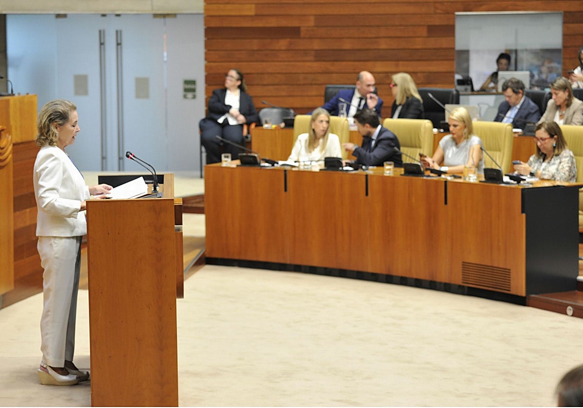 La consejera de Educación, Mercedes Vaquera, en la defensa del proyecto de ley en la Asamblea.