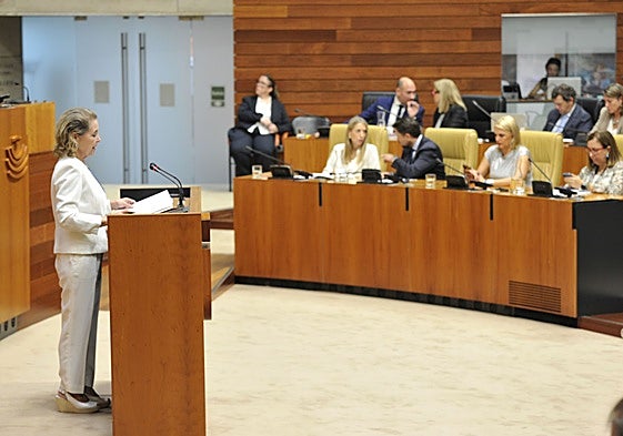 La consejera de Educación, Mercedes Vaquera, en la defensa del proyecto de ley en la Asamblea.