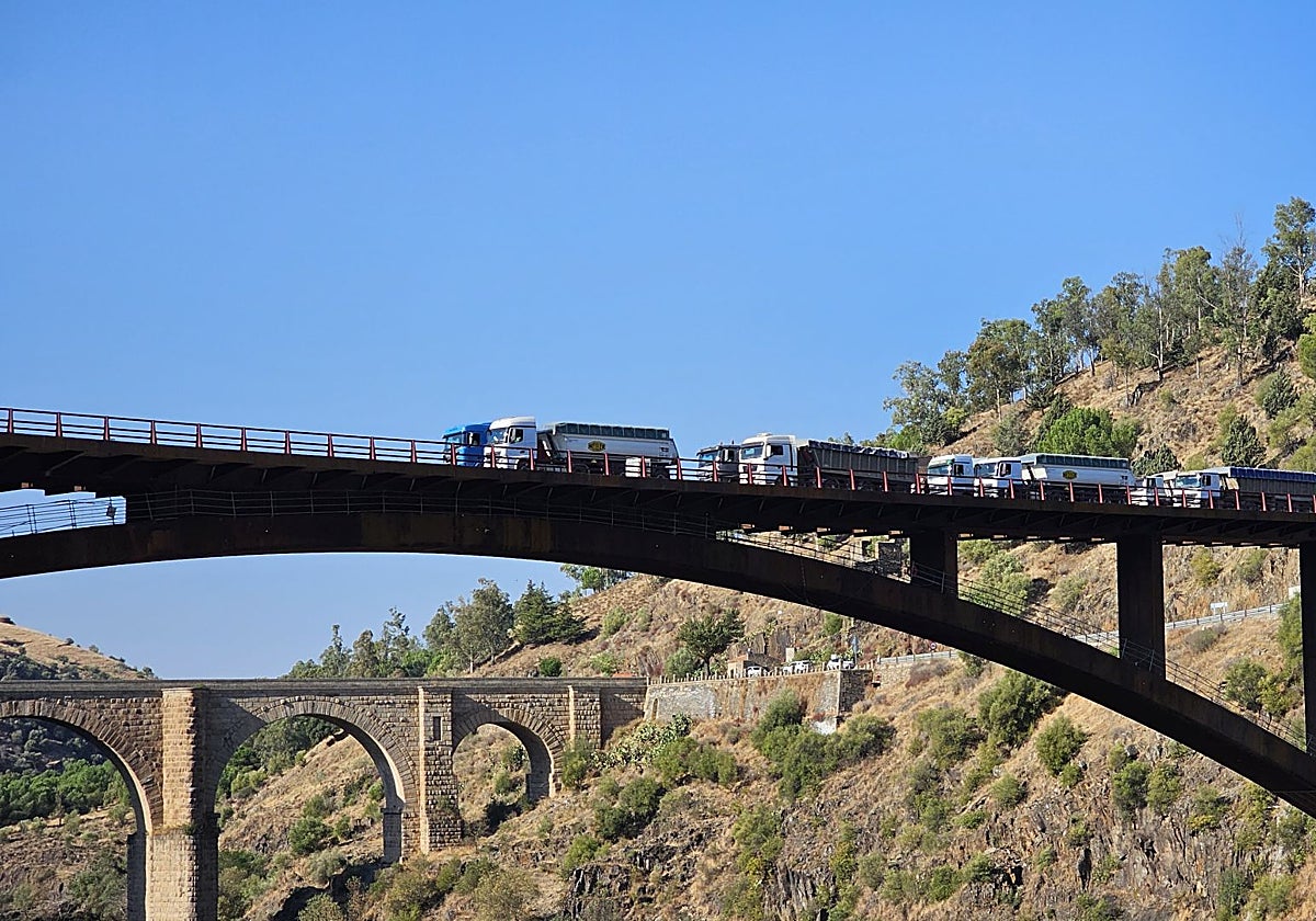 Varios camiones sobre el nuevo puente de Alcántara.