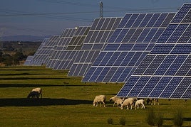 Parque fotovoltaico en el norte de la provincia de Cáceres.