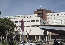 Herido grave tras sufrir cortes con una motosierra en una finca de La Codosera