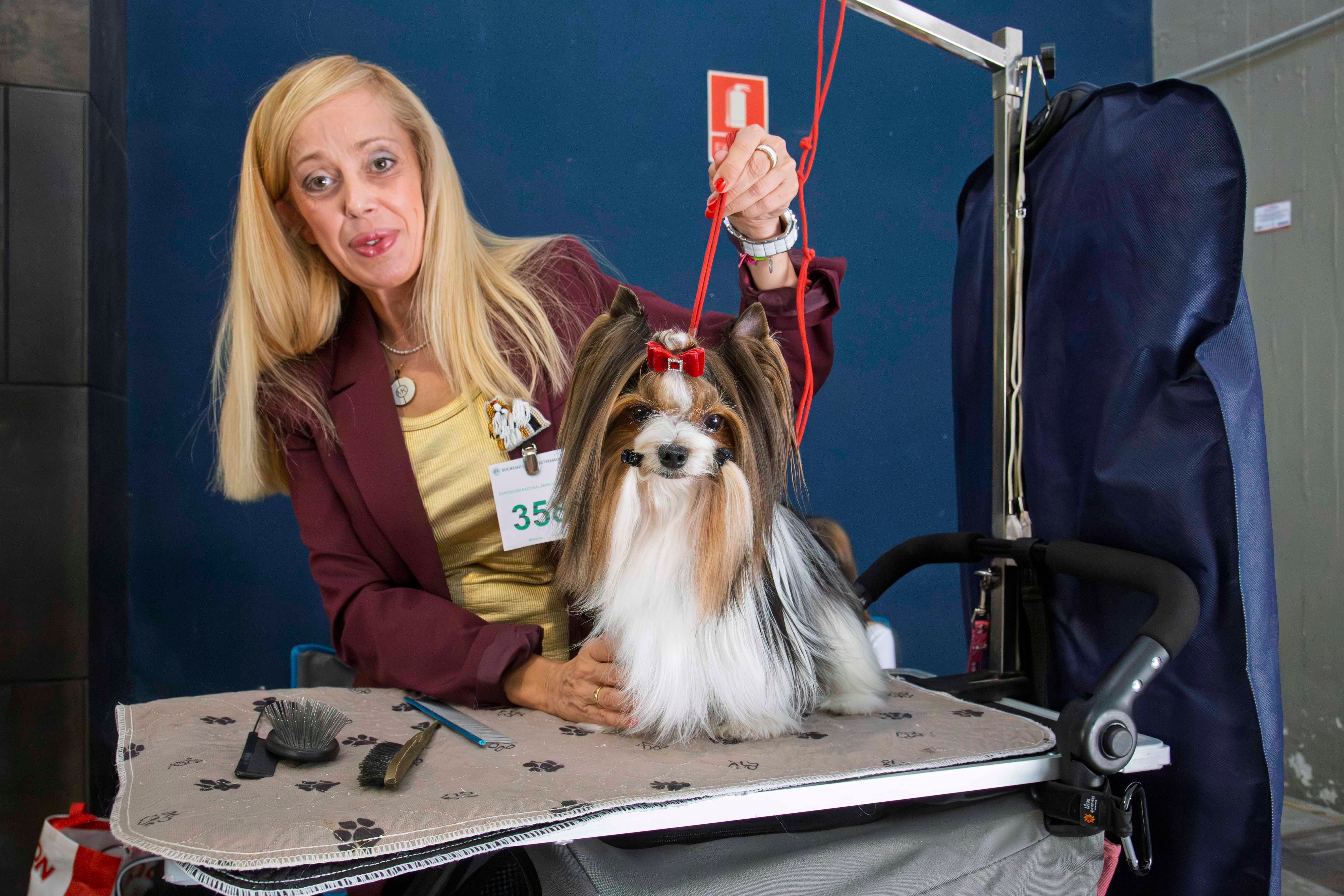 Fotos | Las mejores imágenes de la Exposición Internacional Canina de Mérida