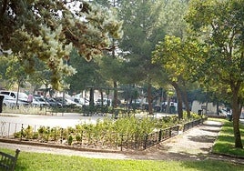 Imagen del parque Ángel Quintanilla