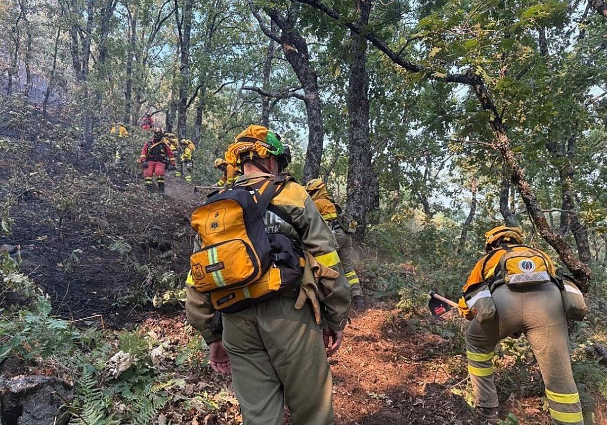 Más de veinte incendios forestales arrasan 160 hectáreas de Extremadura en una semana