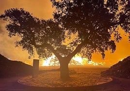 Efectivos de los bomberos de la Diputación de Badajoz durante las labores de extinción la pasada madrugada.