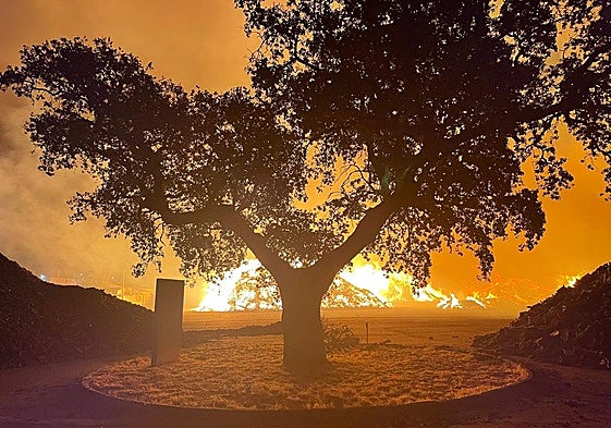 Efectivos de los bomberos de la Diputación de Badajoz durante las labores de extinción la pasada madrugada.