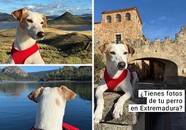 Imágenes de PipperOnTour