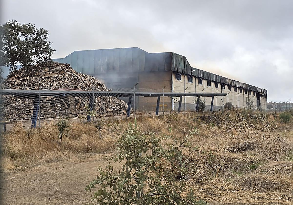 Así arde la corchera de San Vicente, dos días después de iniciarse el fuego