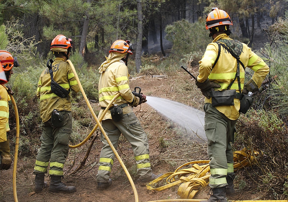 Bomberos del Infoex en una imagen de archivo.
