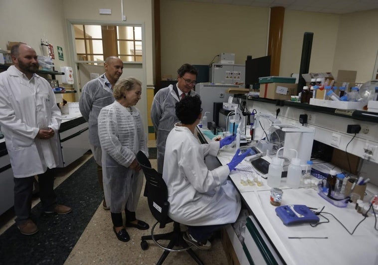 El centro de almacenamiento energético de Cáceres capta 6,5 millones de fondos internacionales para investigación