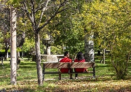 Este es el programa completo del Otoño Mágico del Valle del Ambroz 2025