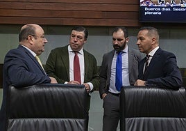 Diputados de Vox en la sesión plenaria de este jueves.