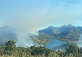 La época de peligro bajo de incendios pemite las quemas prescritas de vegetación en pie.