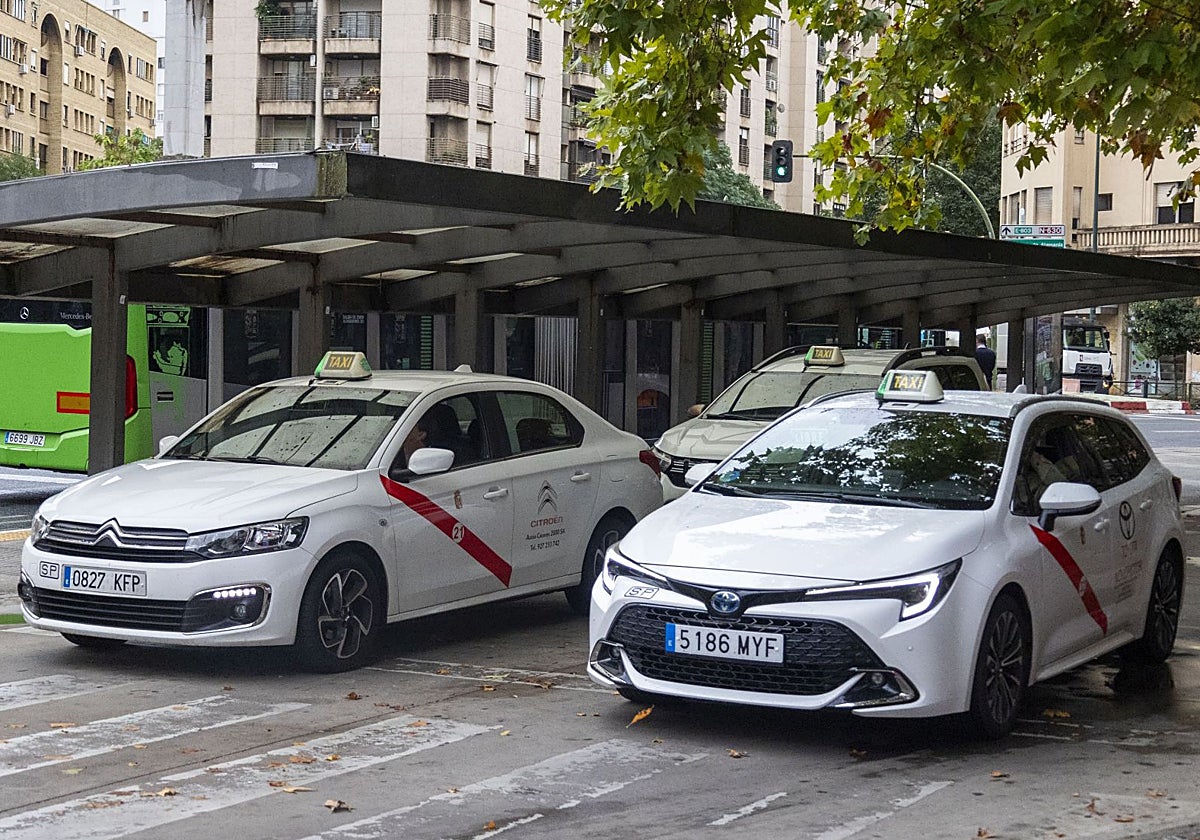 Taxis estacionado en la parada de la plaza de América de Cáceres, una de las que más movimiento tiene.