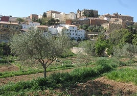 Huertas de la Ribera del Marco con la Ciudad Monumental al fondo.