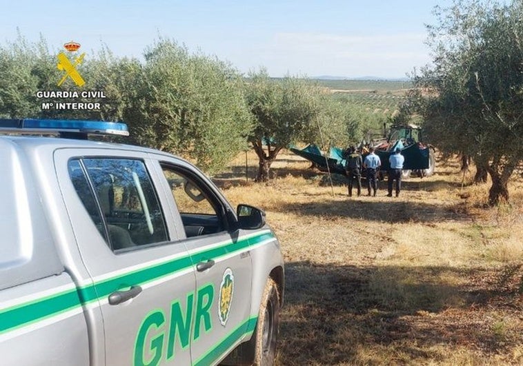 Medios aéreos y la policía portuguesa se suman al plan para evitar robos de aceitunas en el campo