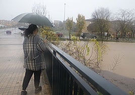 La Ribera del Marco de Cáceres a punto de desbordarse en 2022, con el instituto Al-Qázeres al fondo.