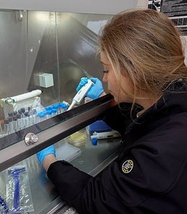 Innovación, digitalización y sostenibilidad agroalimentaria