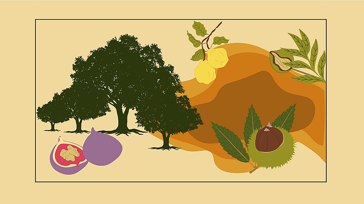 Frutos otoñales para el Día de Todos los Santos