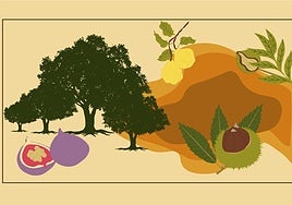 Frutos otoñales para el Día de Todos los Santos