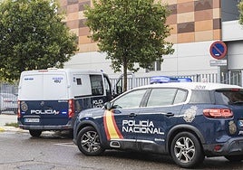 Entrada de los menores a los juzgados de Badajoz.