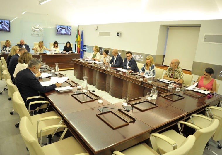 Los guardianes de la Asamblea de Extremadura