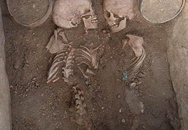 Besar la noble calavera