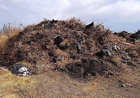 Restos hallados en Arroyo de la Luz.