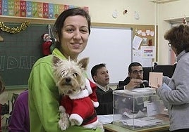 Un perro disfrazado en Mérida durante las votaciones del 20 de diciembre de 2015.