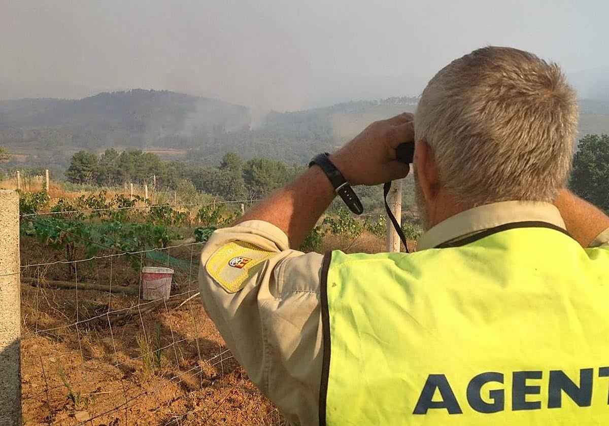 Imagen de archivo de un agente del Medio Natural observando la evolución de un incendio.
